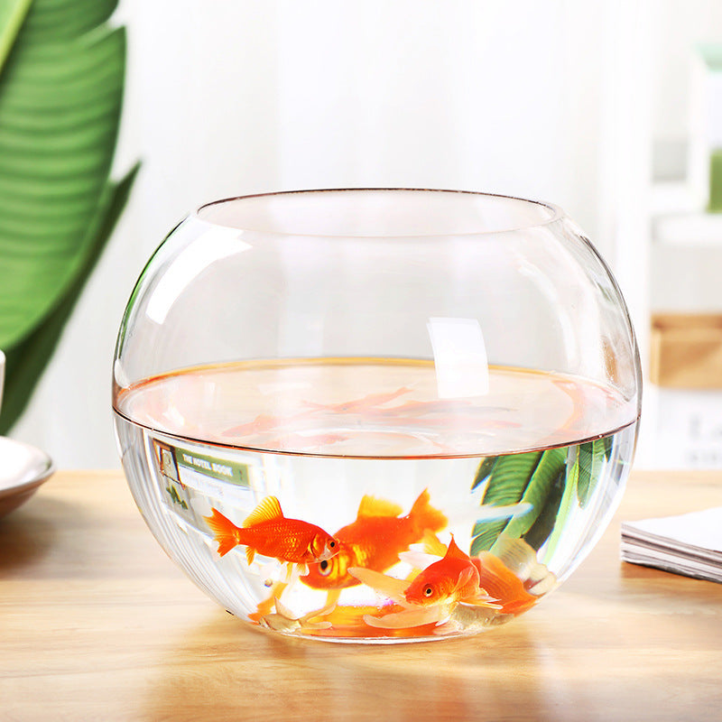 Round Transparent Glass Vase – Versatile Bowl for Flowers, Aquatic Plants & Decor