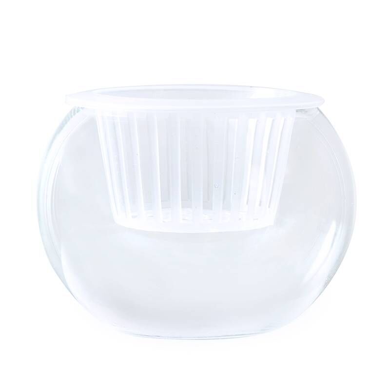 Round Transparent Glass Vase – Versatile Bowl for Flowers, Aquatic Plants & Decor