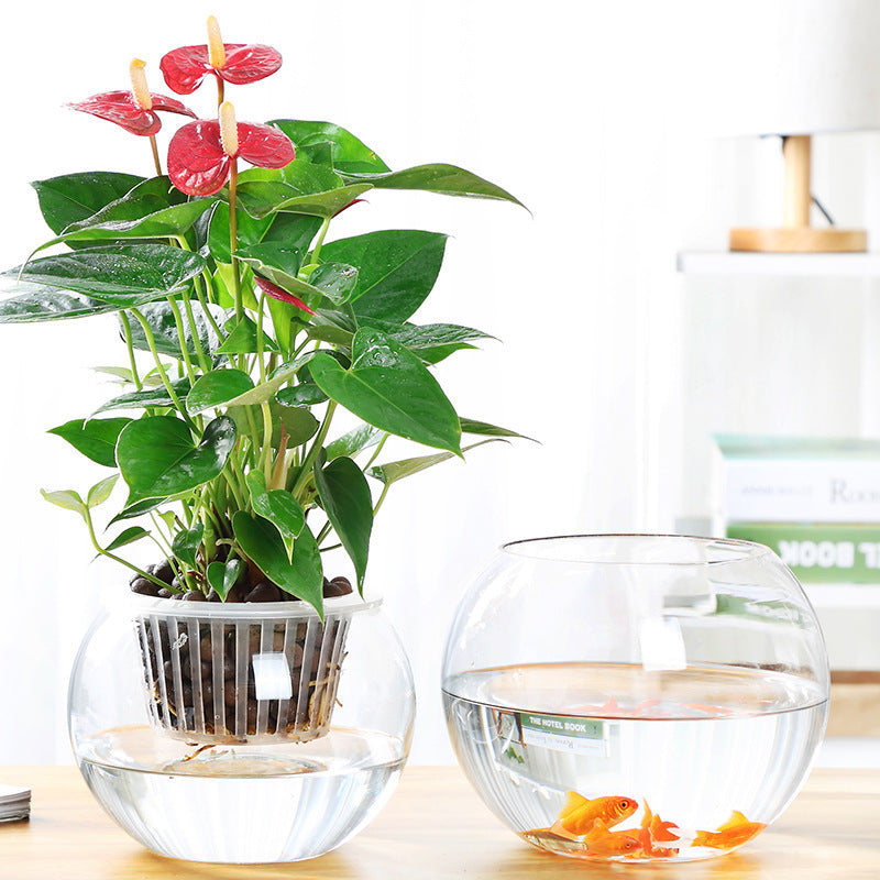 Round Transparent Glass Vase – Versatile Bowl for Flowers, Aquatic Plants & Decor