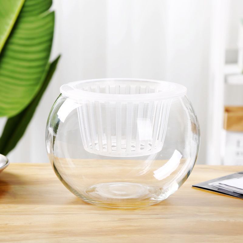 Round Transparent Glass Vase – Versatile Bowl for Flowers, Aquatic Plants & Decor